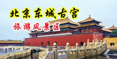 黄色叉叉视频中国北京-东城古宫旅游风景区
